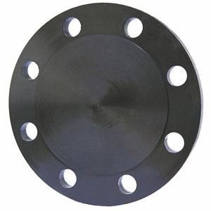 Carbon Steel Blind Flanges