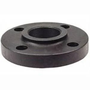 Carbon Steel Screwed/Threaded Flanges Manufacturer in India